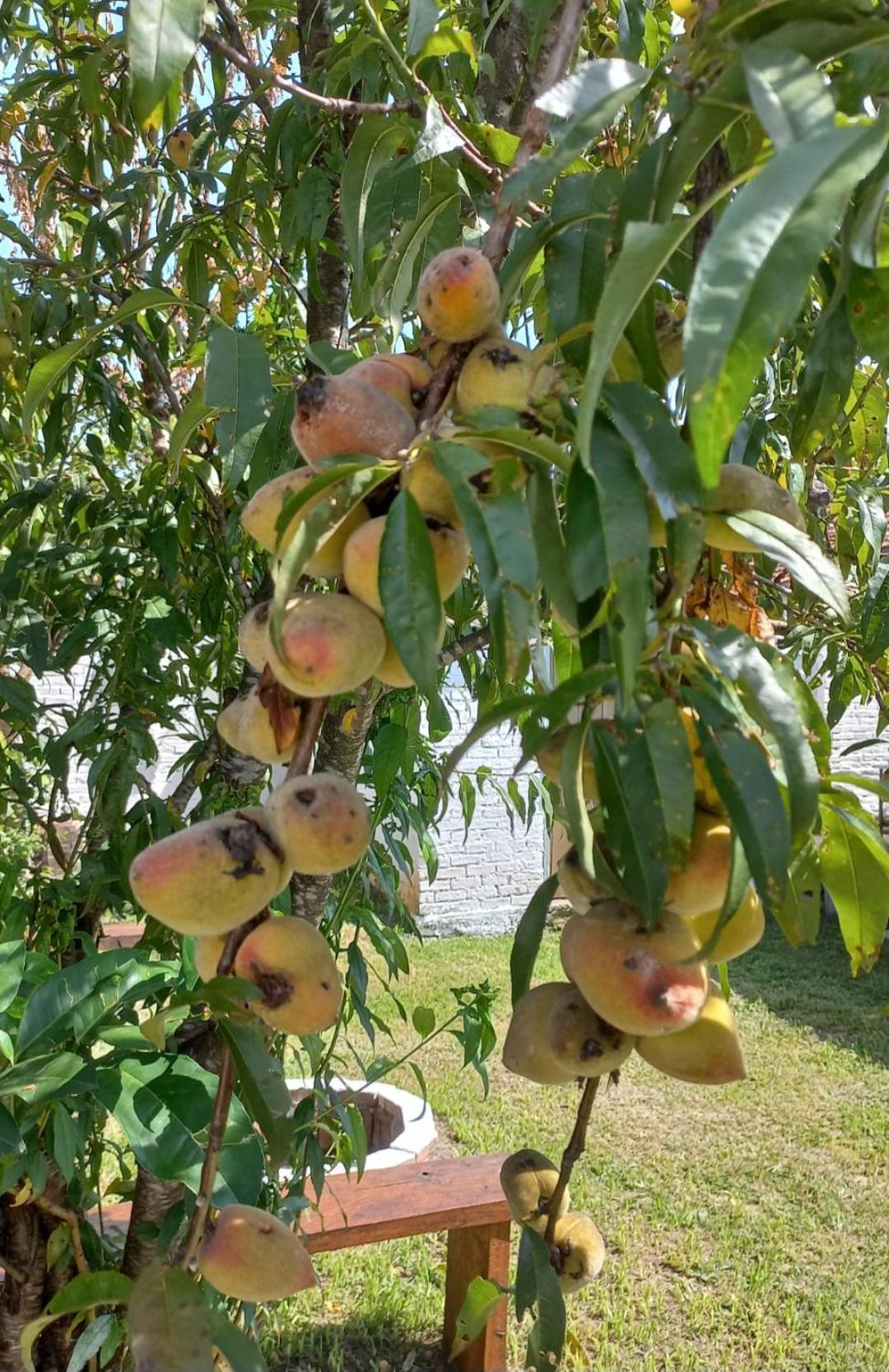 Casinha Verde Passa Quatro Zewnętrze zdjęcie